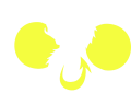 Wishup Drone Academy
